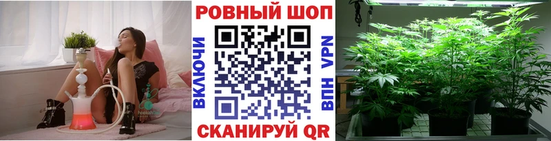 Цена Чекалин Кокаин  Меф  Alpha PVP  МАРИХУАНА  ГАШ 