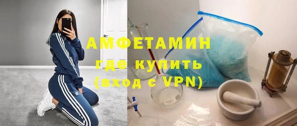 ECSTASY Лагань
