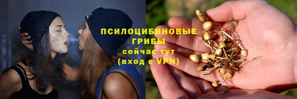 ECSTASY Лагань