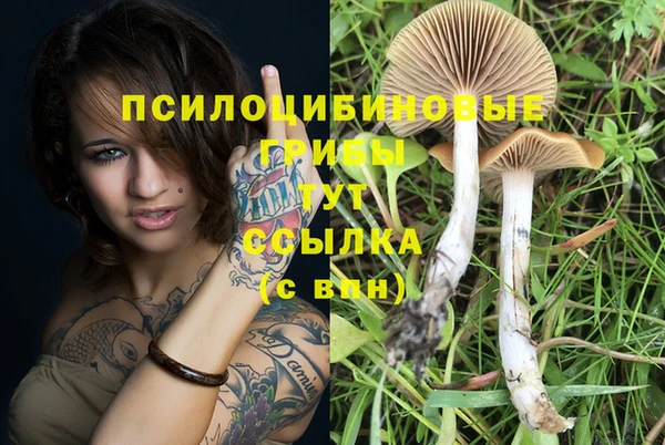 прущий лед Лабытнанги