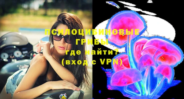 метадон Ладушкин