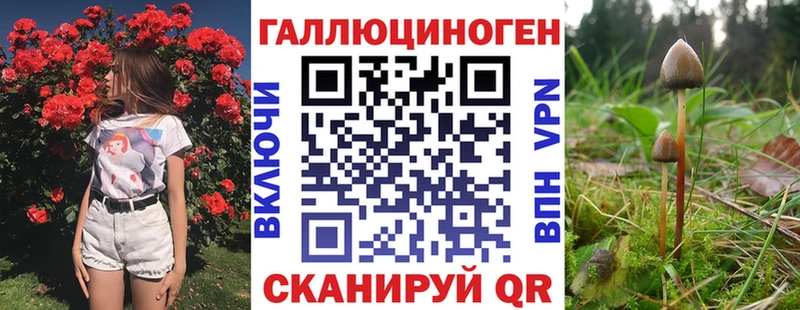 Псилоцибиновые грибы прущие грибы  Чекалин 